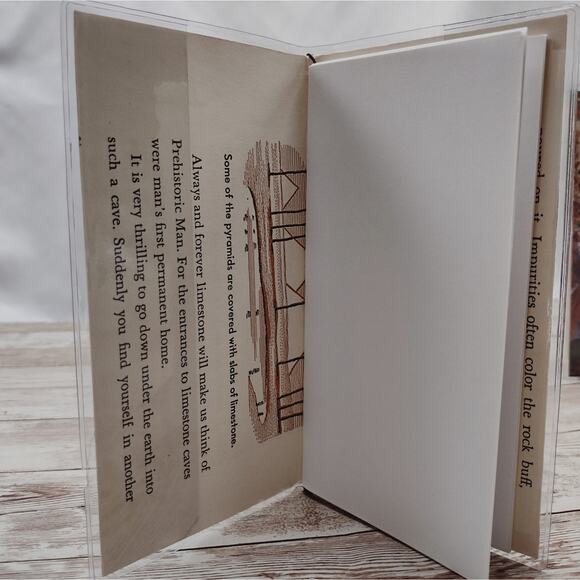 Plant Themed Small Travel Journals with Slip Covers, Handmade Small Notebook - Picture 4 of 9